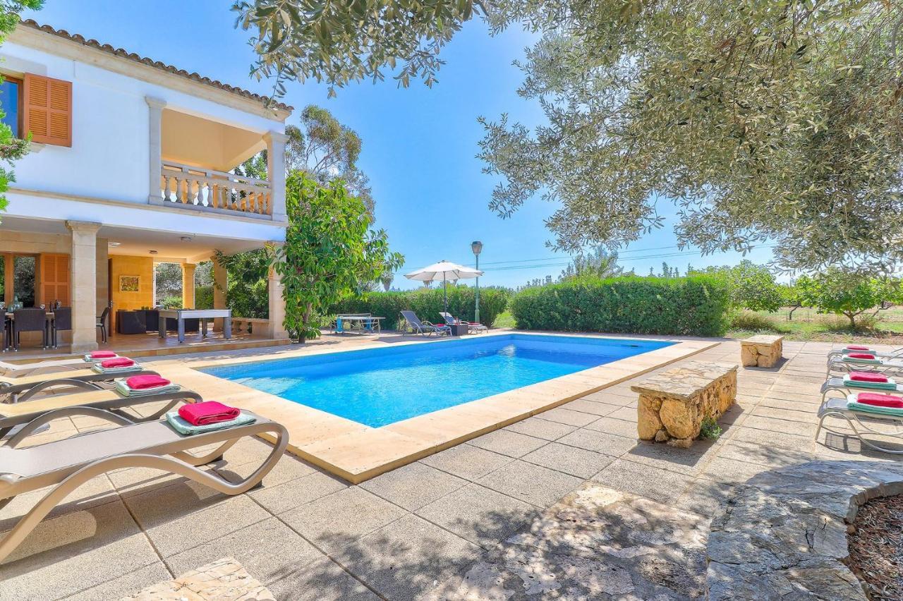 Villa Suau Gran By